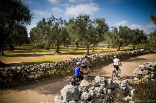 PUGLIA E MATERA IN BICI  2021